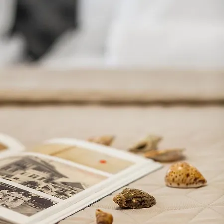 Happy Monte Cassino 44 C Apartment *